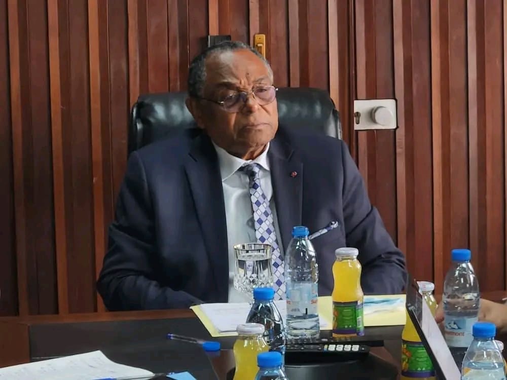 Dialogue Social: Le Cameroun et le CSFEF renforcent les échanges